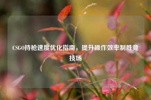 CSGO持枪速度优化指南，提升操作效率制胜竞技场