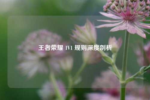 王者荣耀 1V1 规则深度剖析