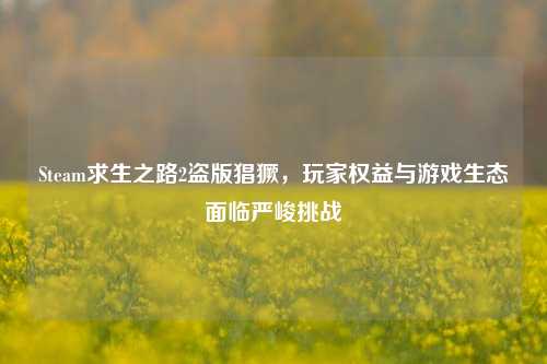 Steam求生之路2盗版猖獗，玩家权益与游戏生态面临严峻挑战