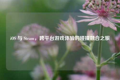 iOS 与 Steam，跨平台游戏体验的碰撞融合之旅