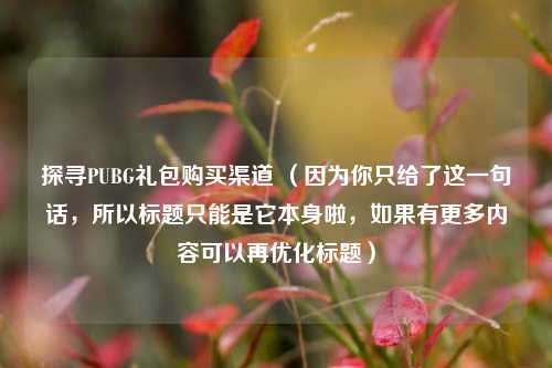 探寻PUBG礼包购买渠道 （因为你只给了这一句话，所以标题只能是它本身啦，如果有更多内容可以再优化标题）