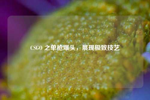 CSGO 之单枪爆头,展现极致技艺