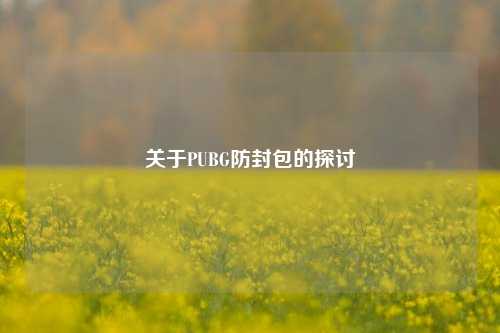 关于PUBG防封包的探讨