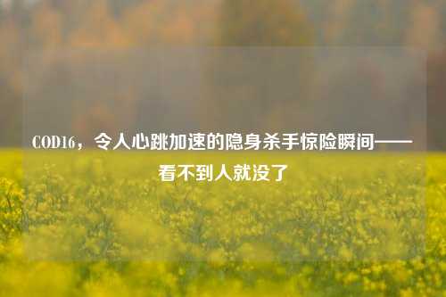 COD16，令人心跳加速的隐身杀手惊险瞬间——看不到人就没了