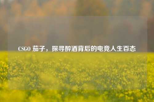 CSGO 茄子,探寻醉酒背后的电竞人生百态