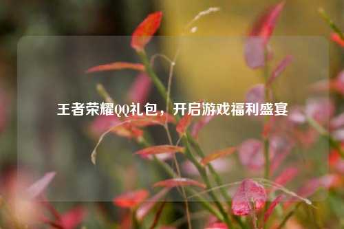 王者荣耀 *** 礼包，开启游戏福利盛宴