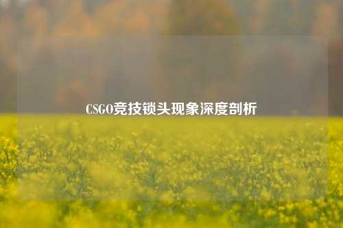 CSGO竞技锁头现象深度剖析