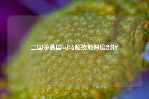 三国杀魏国司马懿技能深度剖析