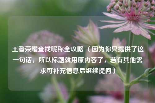 王者荣耀查找昵称全攻略 （因为你只提供了这一句话，所以标题就用原内容了，若有其他需求可补充信息后继续提问）