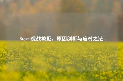 Steam观战被拒，原因剖析与应对之法