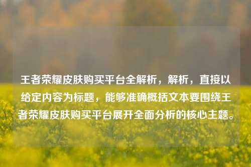 王者荣耀皮肤购买平台全解析，解析，直接以给定内容为标题，能够准确概括文本要围绕王者荣耀皮肤购买平台展开全面分析的核心主题。