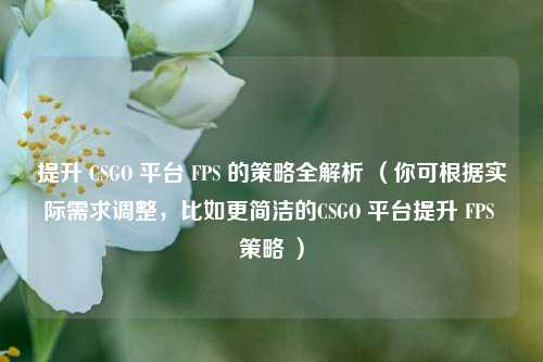 提升 CSGO 平台 FPS 的策略全解析 （你可根据实际需求调整，比如更简洁的CSGO 平台提升 FPS 策略 ）