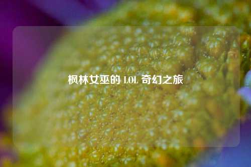 枫林女巫的 LOL 奇幻之旅