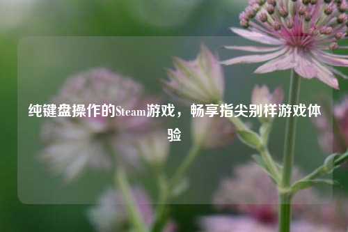 纯键盘操作的Steam游戏,畅享指尖别样游戏体验