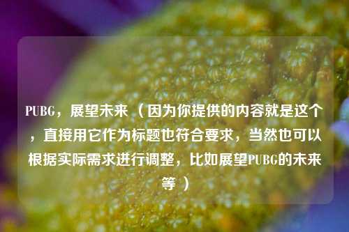 PUBG，展望未来 （因为你提供的内容就是这个，直接用它作为标题也符合要求，当然也可以根据实际需求进行调整，比如展望PUBG的未来等 ）