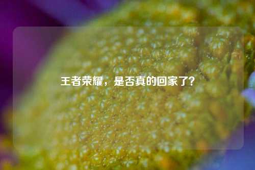 王者荣耀，是否真的回家了？