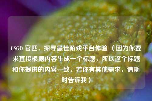 CSGO 官匹，探寻更佳游戏平台体验 （因为你要求直接根据内容生成一个标题，所以这个标题和你提供的内容一致，若你有其他需求，请随时告诉我）