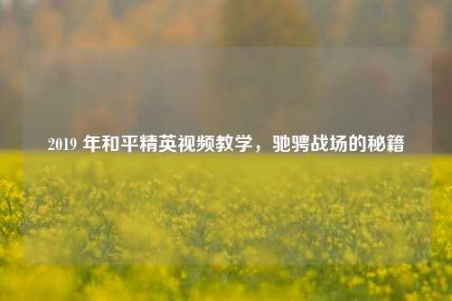 2019 年和平精英视频教学，驰骋战场的秘籍