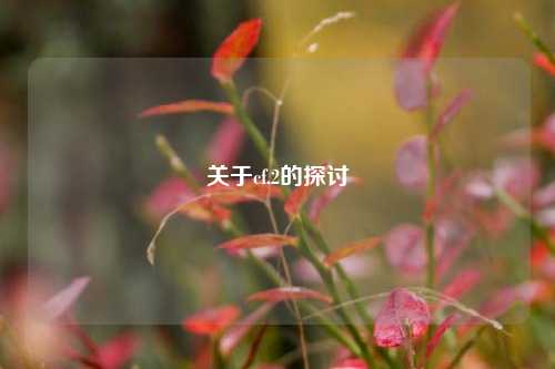 关于cf.2的探讨