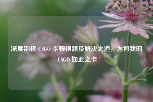 深度剖析 CSGO 卡顿根源及解决之道，为何我的 CSGO 如此之卡