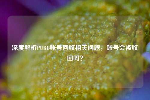 深度解析PUBG账号回收相关问题，账号会被收回吗？