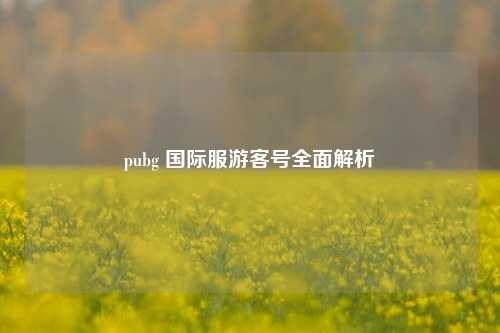 pubg 国际服游客号全面解析