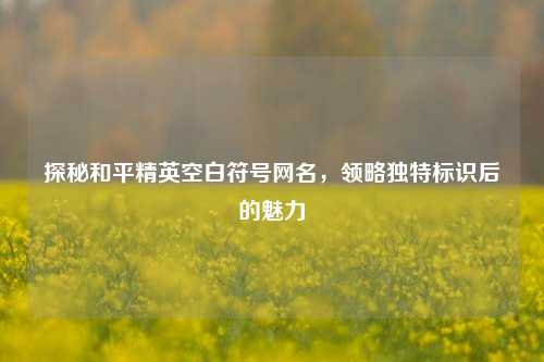 探秘和平精英空白符号网名，领略独特标识后的魅力