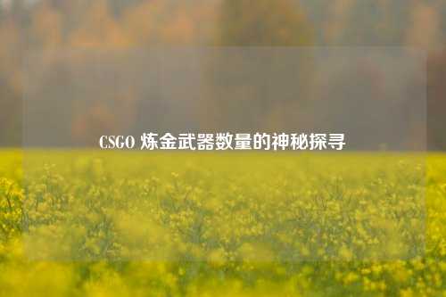 CSGO 炼金武器数量的神秘探寻