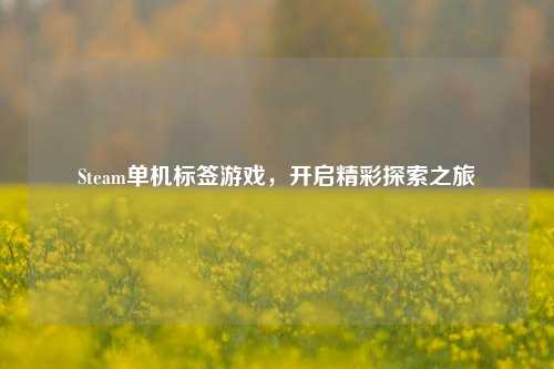 Steam单机标签游戏,开启精彩探索之旅