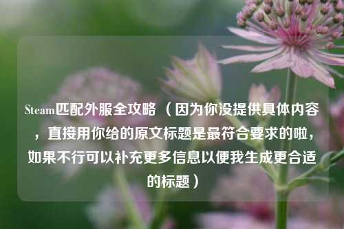 Steam匹配外服全攻略 （因为你没提供具体内容，直接用你给的原文标题是更符合要求的啦，如果不行可以补充更多信息以便我生成更合适的标题）