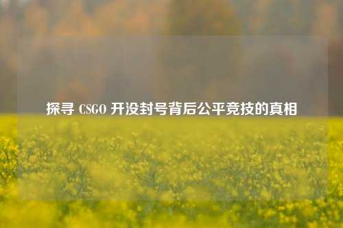 探寻 CSGO 开没封号背后公平竞技的真相