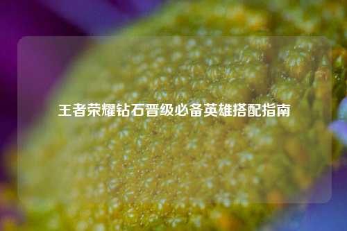 王者荣耀钻石晋级必备英雄搭配指南