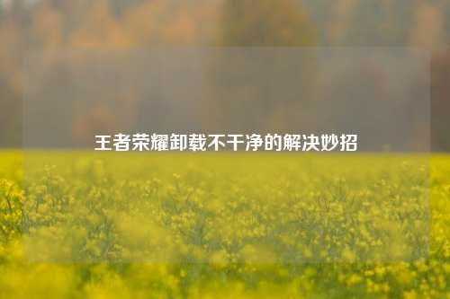 王者荣耀卸载不干净的解决妙招