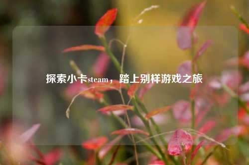 探索小卡steam，踏上别样游戏之旅
