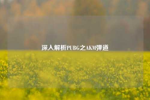 深入解析PUBG之AKM弹道