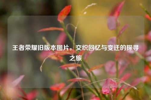 王者荣耀旧版本图片,交织回忆与变迁的探寻之旅