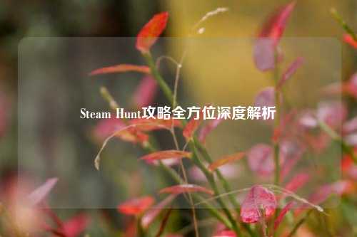 Steam Hunt攻略全方位深度解析