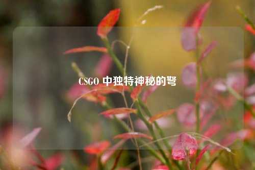 CSGO 中独特神秘的弩