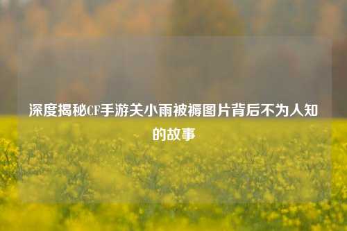 深度揭秘CF手游关小雨被褥图片背后不为人知的故事