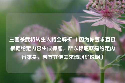 三国杀武将转生攻略全解析 （因为你要求直接根据给定内容生成标题，所以标题就是给定内容本身，若有其他需求请明确说明）