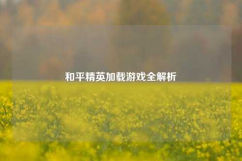 和平精英加载游戏全解析