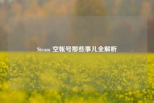 Steam 空帐号那些事儿全解析