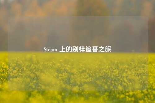 Steam 上的别样追番之旅