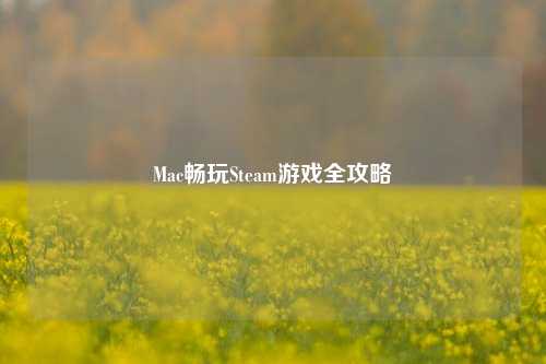 Mac畅玩Steam游戏全攻略