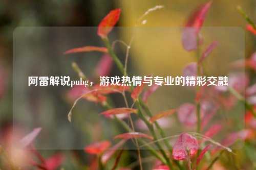 阿雷解说pubg，游戏热情与专业的精彩交融