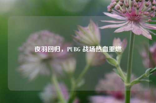 夜羽回归，PUBG 战场热血重燃