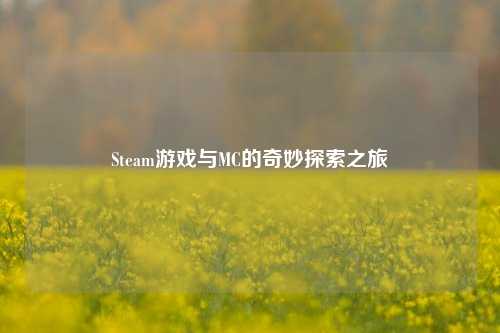 Steam游戏与MC的奇妙探索之旅