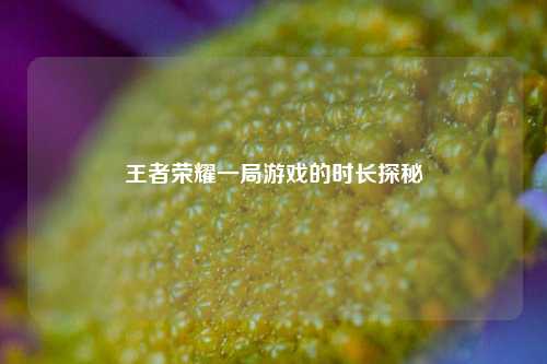 王者荣耀一局游戏的时长探秘
