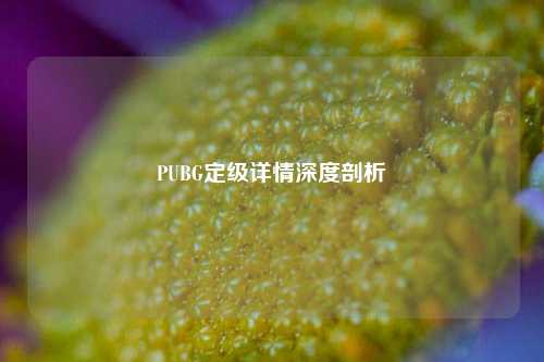 PUBG定级详情深度剖析