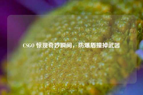 CSGO 惊现奇妙瞬间,防爆盾撞掉武器